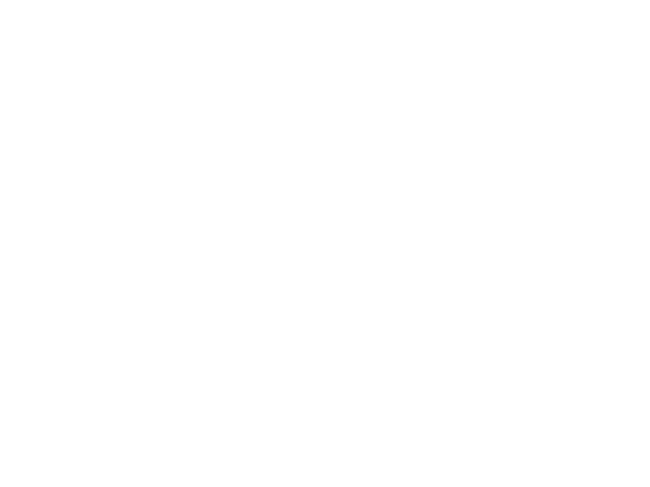 De Vischbrug